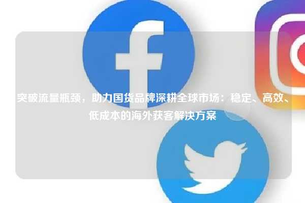 突破流量瓶颈,助力国货品牌深耕全球市场:稳定、高效、低成本的海外获客解决方案