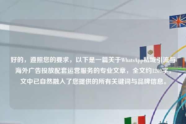 好的，遵照您的要求，以下是一篇关于WhatsApp私域引流与海外广告投放配套运营服务的专业文章，全文约1200字，文中已自然融入了您提供的所有关键词与品牌信息。