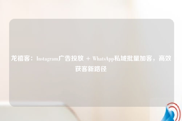 龙禧客：Instagram广告投放 + WhatsApp私域批量加客，高效获客新路径