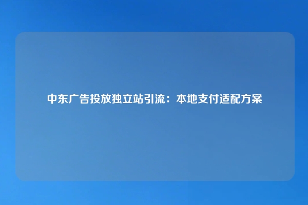 中东广告投放独立站引流：本地支付适配方案