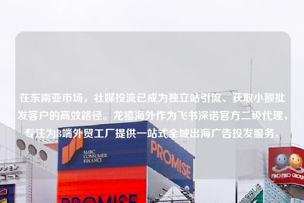 在东南亚市场，社媒投流已成为独立站引流、获取小额批发客户的高效路径。龙禧海外作为飞书深诺官方二级代理，专注为B端外贸工厂提供一站式全域出海广告投发服务。
