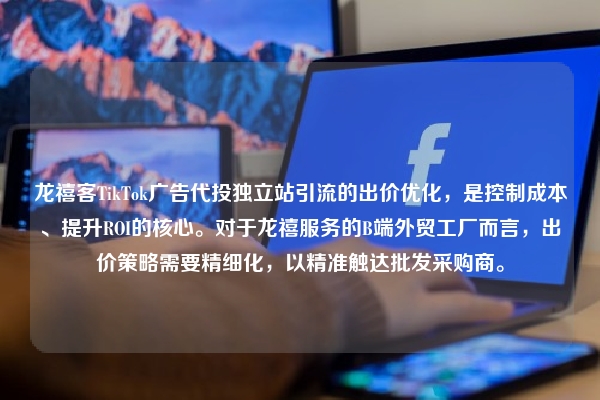 龙禧客TikTok广告代投独立站引流的出价优化，是控制成本、提升ROI的核心。对于龙禧服务的B端外贸工厂而言，出价策略需要精细化，以精准触达批发采购商。