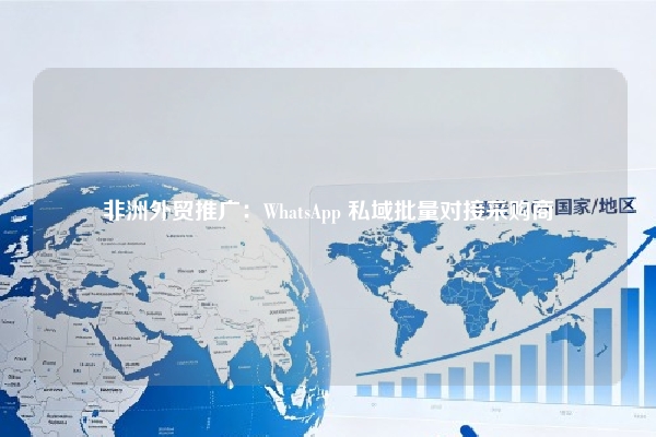 非洲外贸推广：WhatsApp 私域批量对接采购商