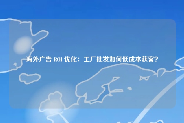 海外广告 ROI 优化：工厂批发如何低成本获客？
