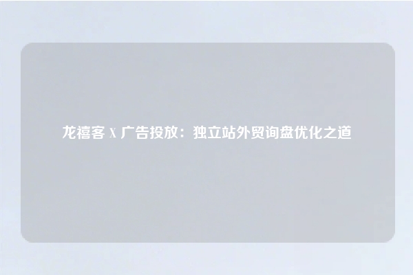 龙禧客 X 广告投放：独立站外贸询盘优化之道