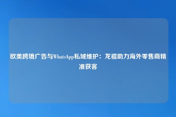 欧美跨境广告与WhatsApp私域维护：龙禧助力海外零售商精准获客